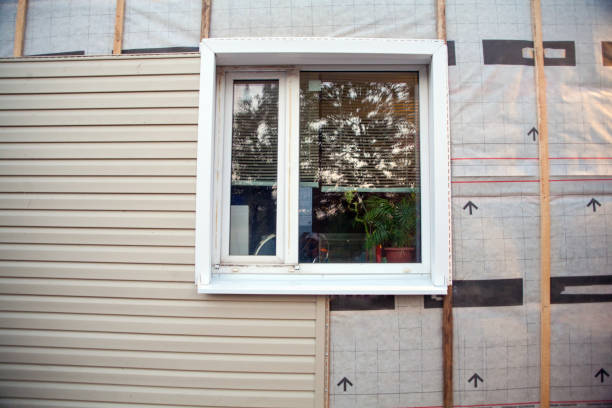 Best Custom Trim and Detailing for Siding  in Brown Deer, WI