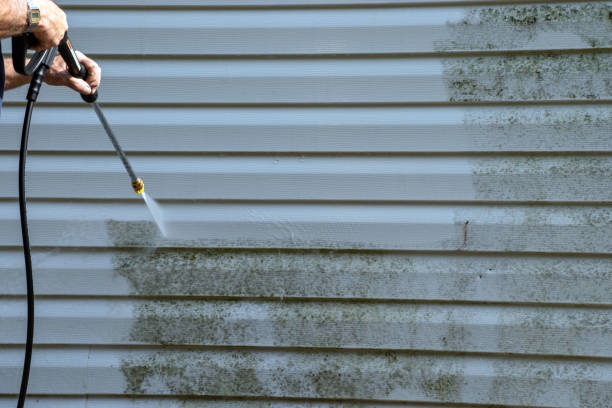 Best Weatherproofing and Sealing  in Brown Deer, WI