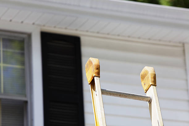 Best Fiber Cement Siding Installation  in Brown Deer, WI