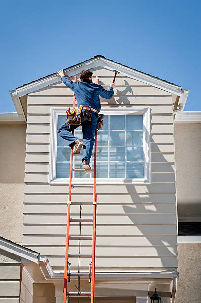 Best Insulated Siding Installation  in Brown Deer, WI