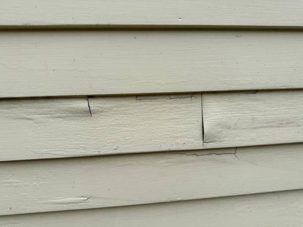 Best Steel Siding Installation  in Brown Deer, WI